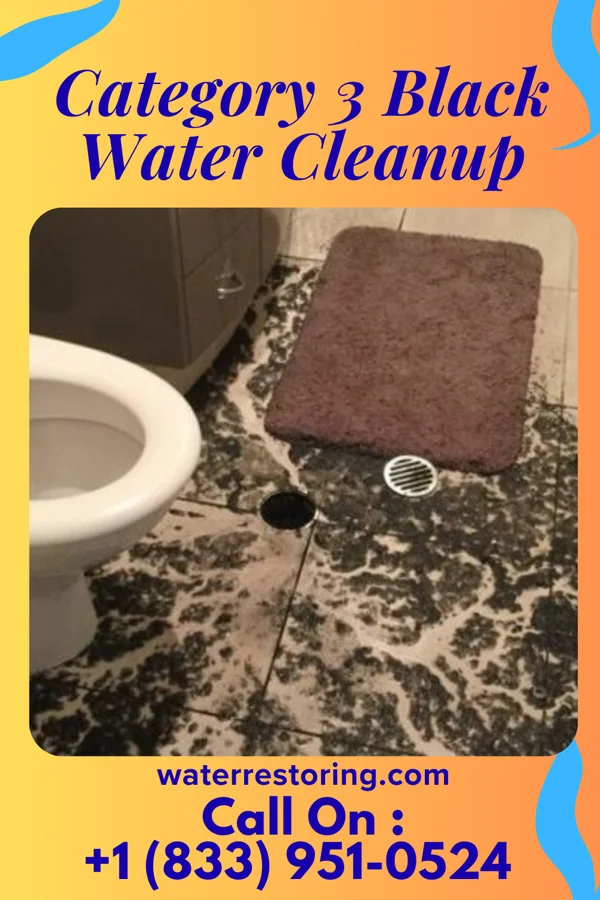 Category 3 Black Water Cleanup in Albany, WY