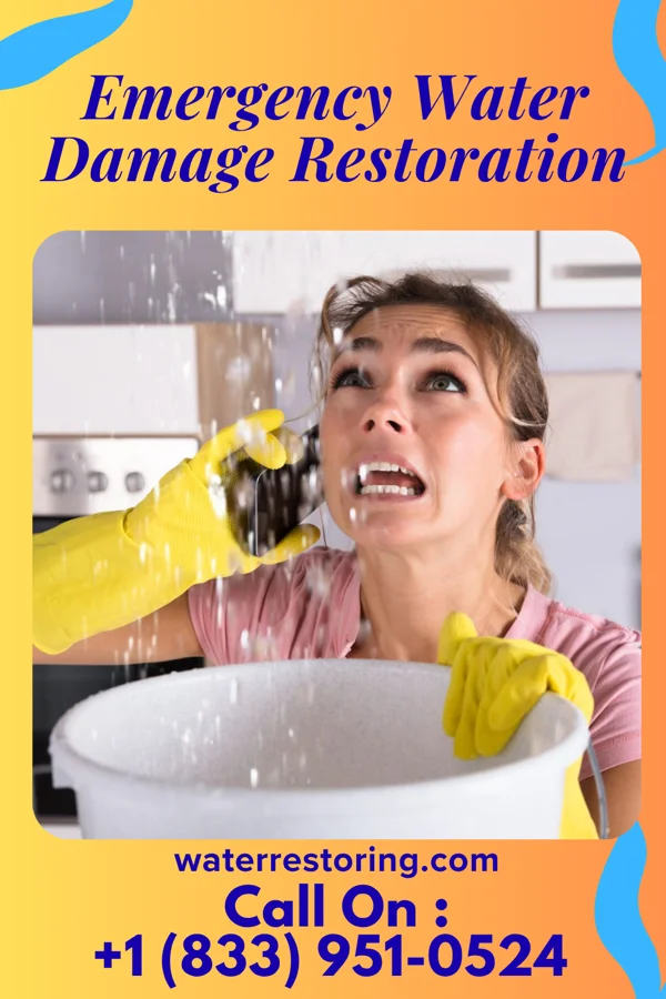Emergency Water Damage Restoration in Albany, WY