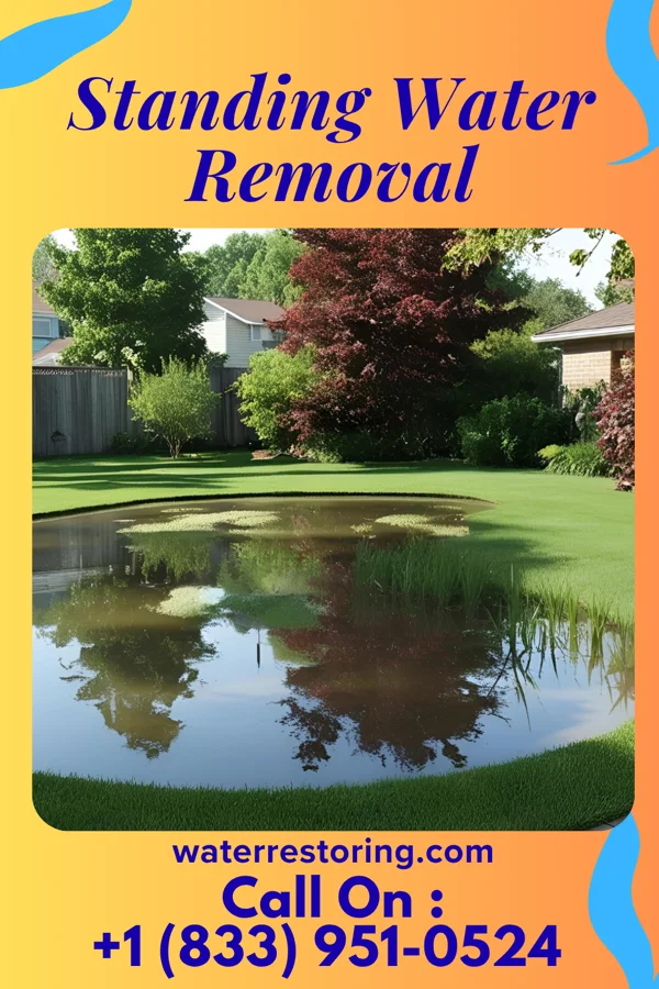 Standing Water Removal in Albany, WY